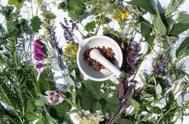 Popular remedies to increase power