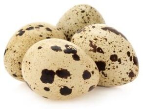Quail objects to increase power